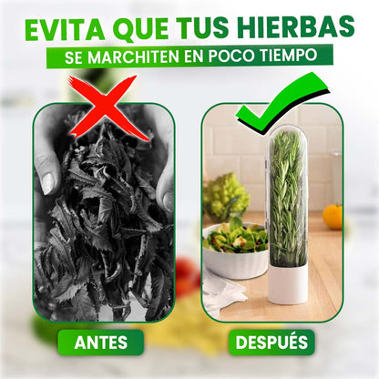 🎁PROMO 2x1🎁Conservador de Hierbas Frescas🎁PROMO 2 UNIDADES🎁