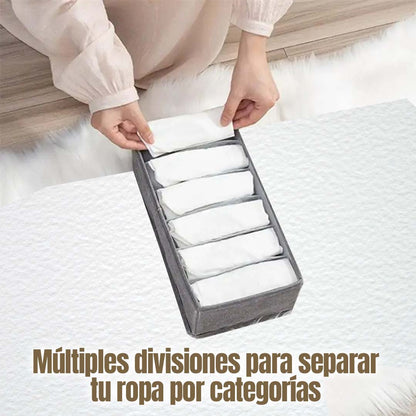 GABETA ORGANIZADORA CON DIVISIONES 🎁PROMO 2 UNDIADES🎁